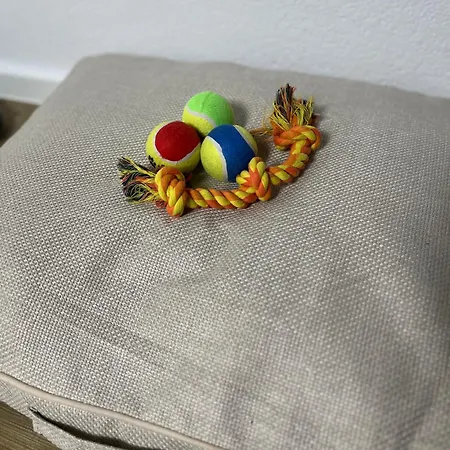 Hinterhaus Am Stadtrand Chemnitz