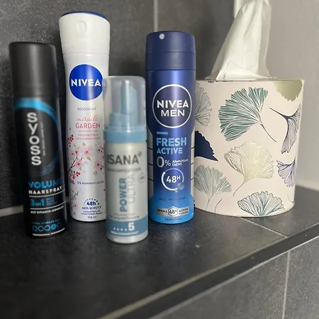 Hinterhaus Am Stadtrand 公寓 开姆尼茨